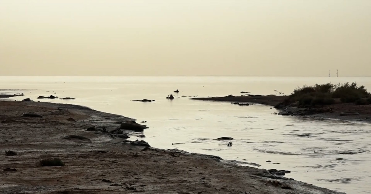 COP29 Brings Focus On Azerbaijan's Pollution Of The Caspian Sea