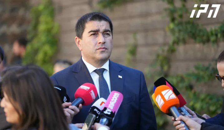 Tbilisi rejects EU criticism as political interference