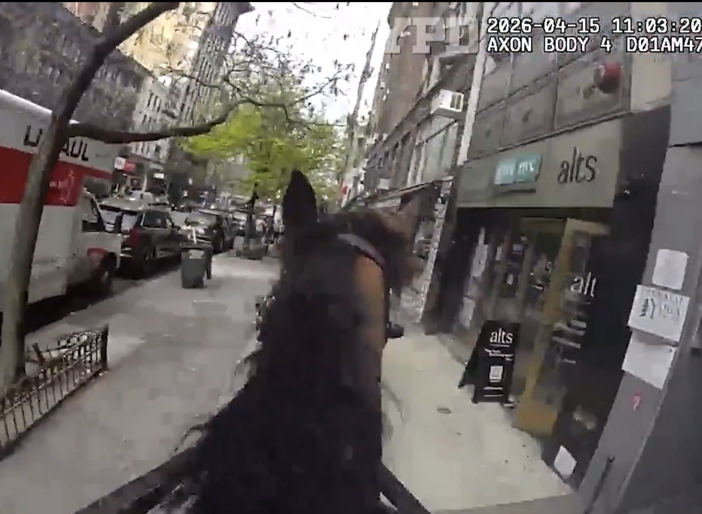 NYPD Mounted Officer on Horse 'Kelly' Chases, Apprehends Alleged Purse Snatcher on Upper West Side; Bodycam Footage Released