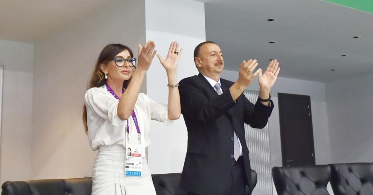 Former diplomat says state-funded opposition parties REAL and Müsavat refrain from meaningful criticism of Aliyev after MSK allocations