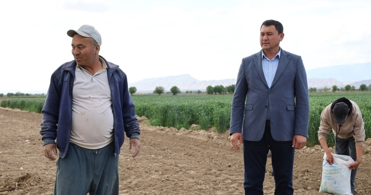 Uzbek District Governor Reprimanded After Audio Surfaces of Threats and Insults Toward Farmers