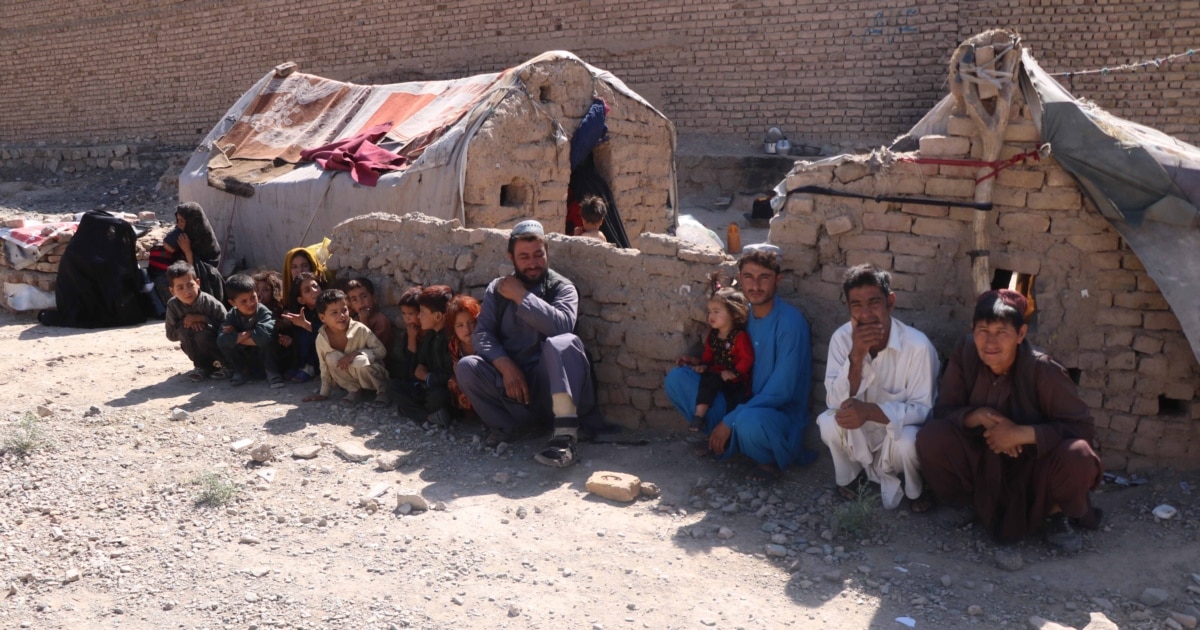 Afghans Rely on Mosquito Nets as Summer Heat and Insect Surges Raise Malaria Risk Amid Aid Cuts