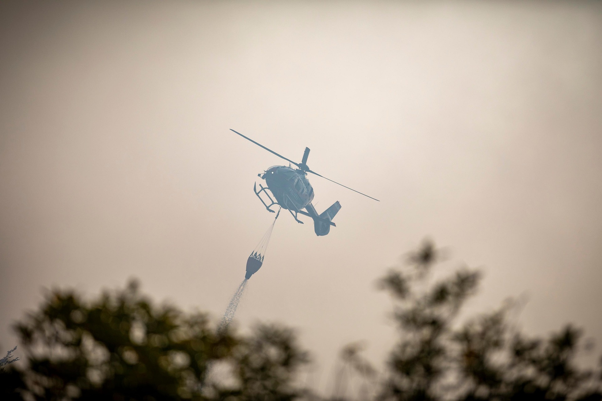 After Spain’s Wildfires: Who Will Pay for the Next Fire Season?